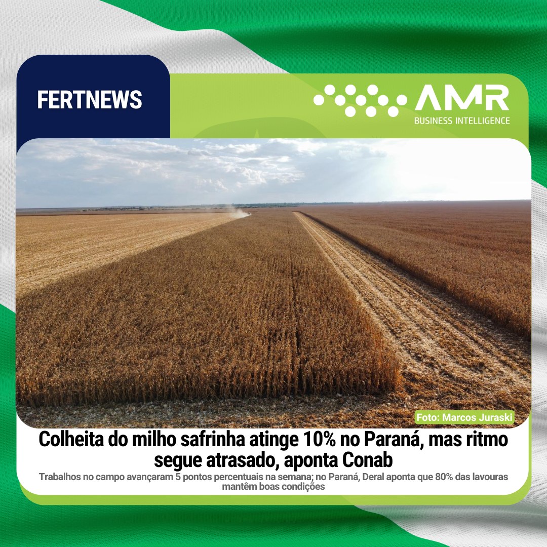 Capa da postagem Colheita do milho safrinha atinge 10% no Paraná, mas ritmo segue atrasado, aponta Conab