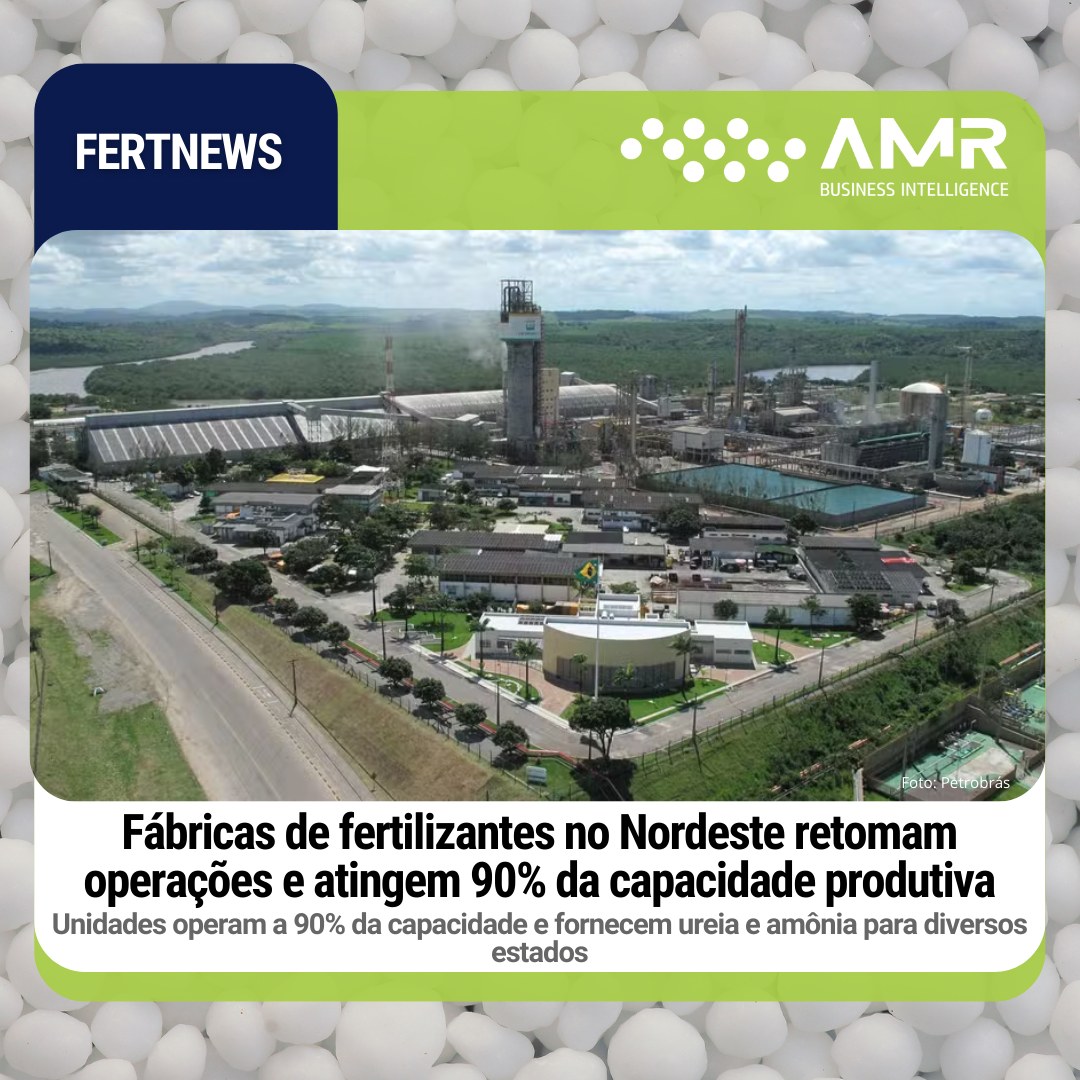 Capa da postagem Fábricas de fertilizantes no Nordeste retomam operações e atingem 90% da capacidade produtiva