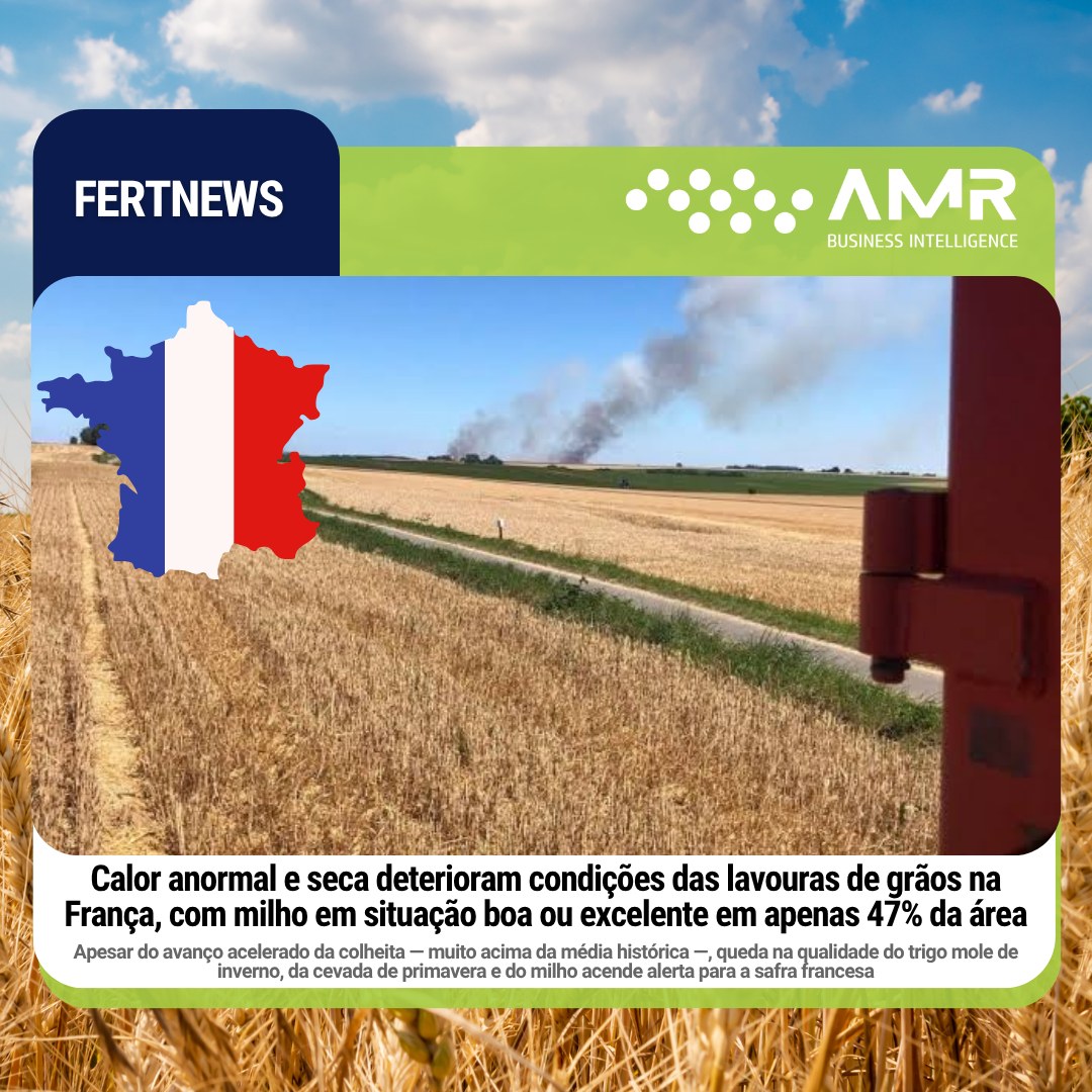 Capa da postagem Calor anormal e seca deterioram condições das lavouras de grãos na França, com milho em situação boa ou excelente em apenas 47% da área