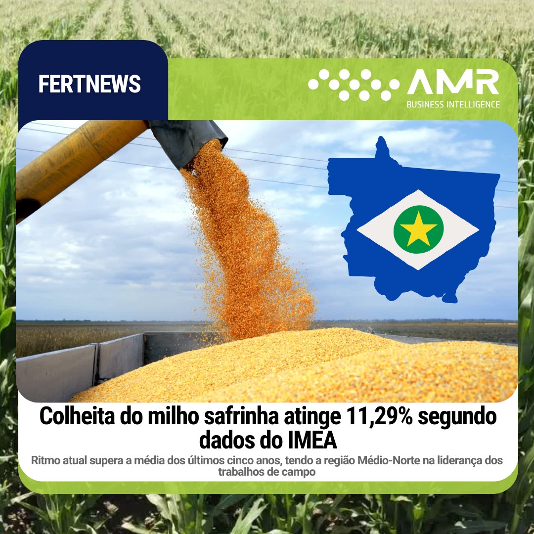 Capa da postagem Colheita do milho safrinha atinge 11,29% segundo dados do IMEA
