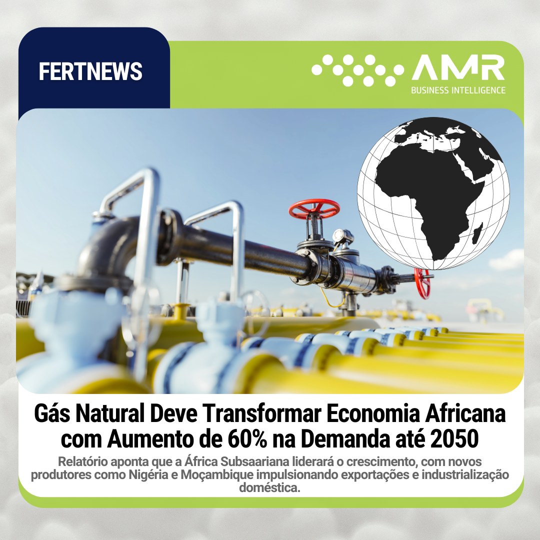 Capa da postagem Gás Natural Deve Transformar Economia Africana com Aumento de 60% na Demanda até 2050