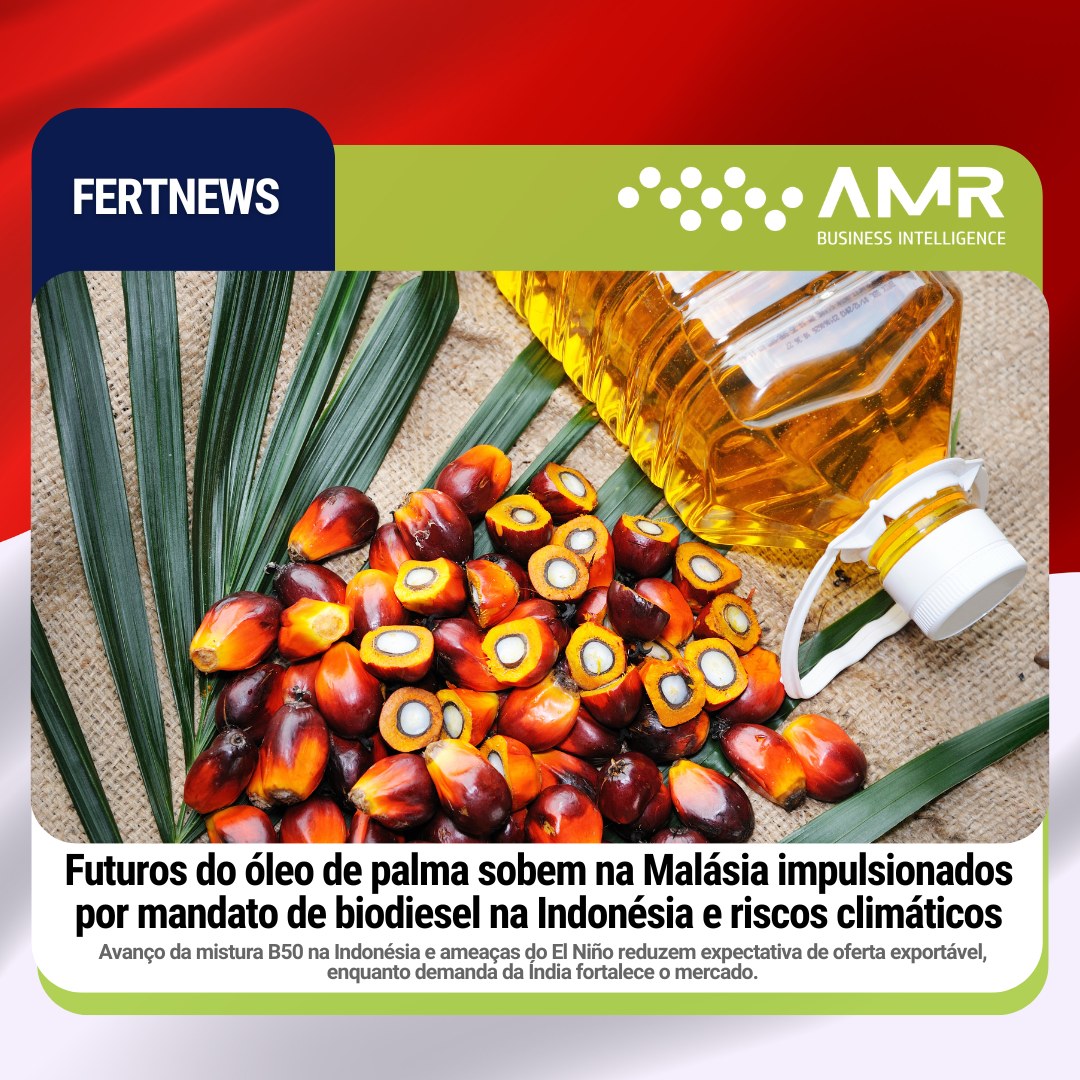 Capa da postagem Futuros do óleo de palma sobem na Malásia impulsionados por mandato de biodiesel na Indonésia e riscos climáticos