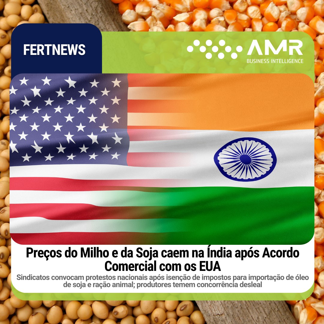 Capa da postagem Preços do milho e da soja caem na Índia após acordo comercial com os EUA