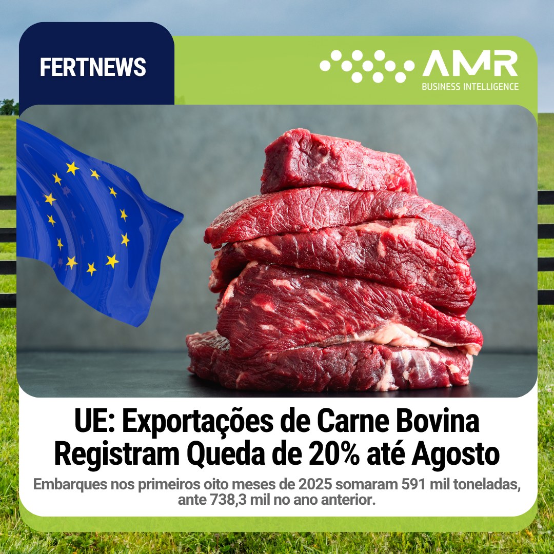 Capa da postagem UE: Exportações de Carne Bovina Registram Queda de 20% até Agosto