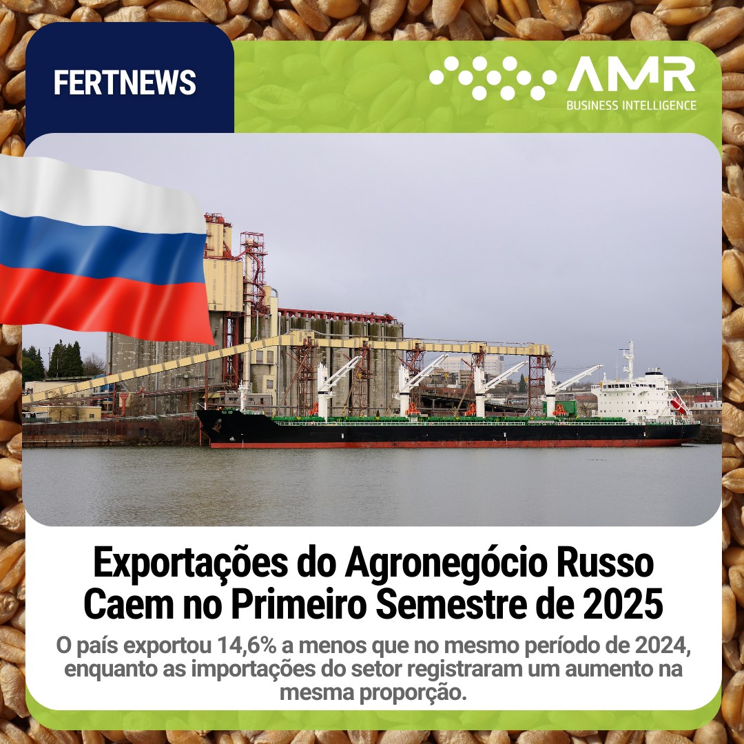Capa da postagem Exportações do Agronegócio Russo Caem no Primeiro Semestre de 2025