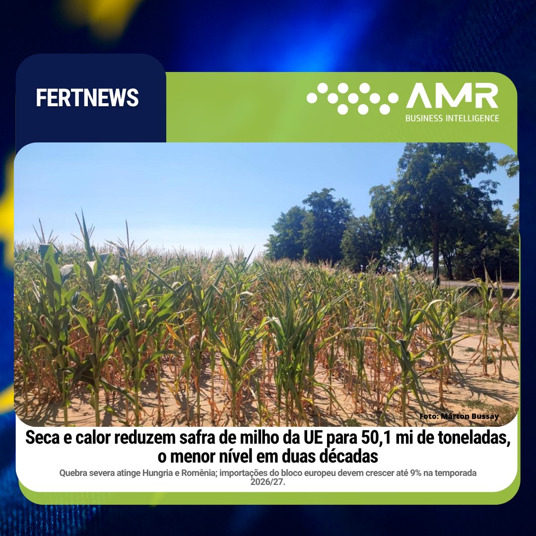 Capa da postagem Seca e calor reduzem safra de milho da UE para 50,1 mi de toneladas, o menor nível em duas décadas