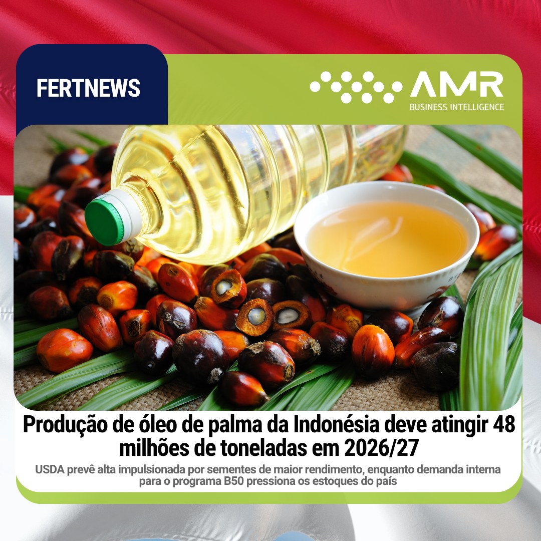 Capa da postagem Produção de óleo de palma da Indonésia deve atingir 48 milhões de toneladas em 2026/27