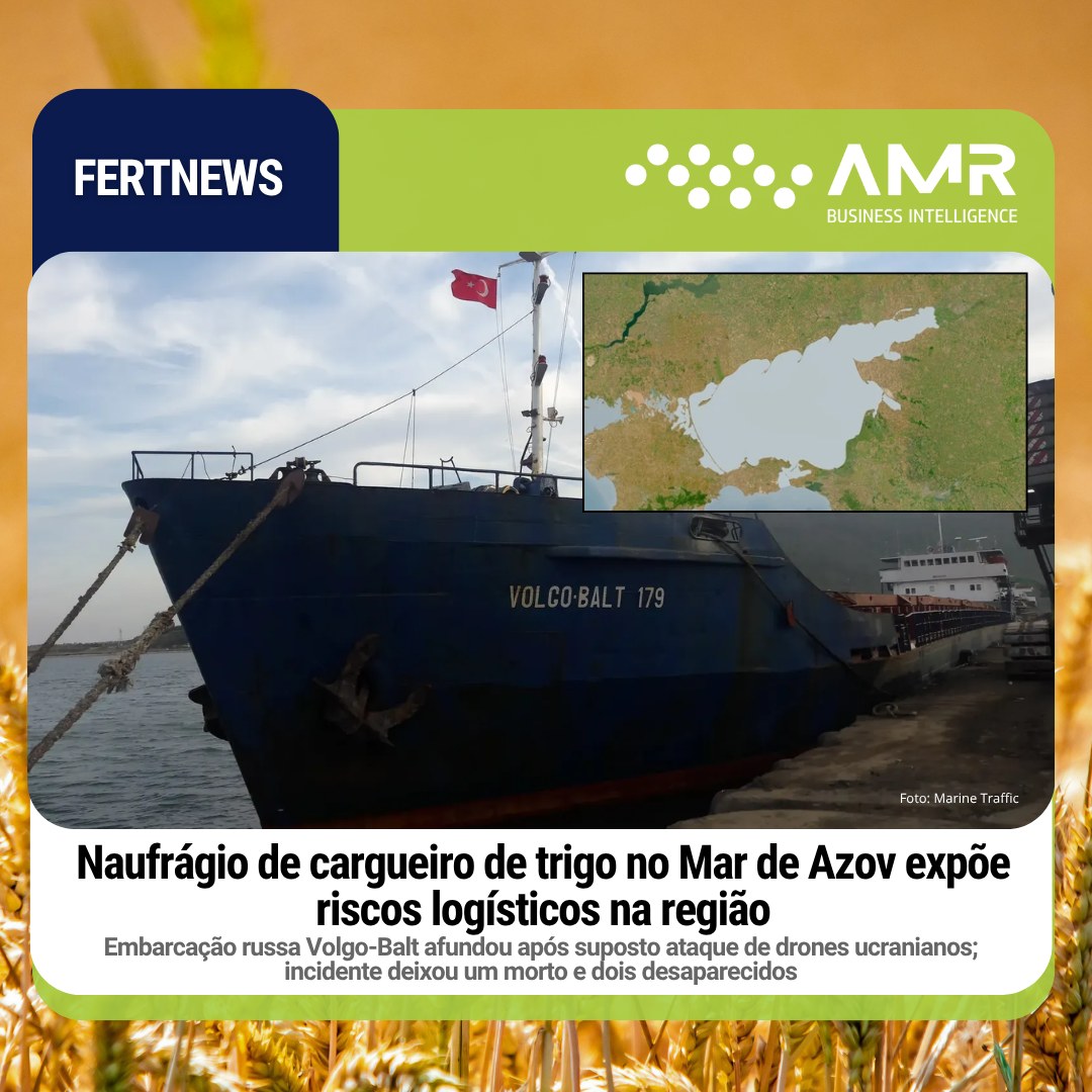 Capa da postagem Naufrágio de cargueiro de trigo no Mar de Azov expõe riscos logísticos na região
