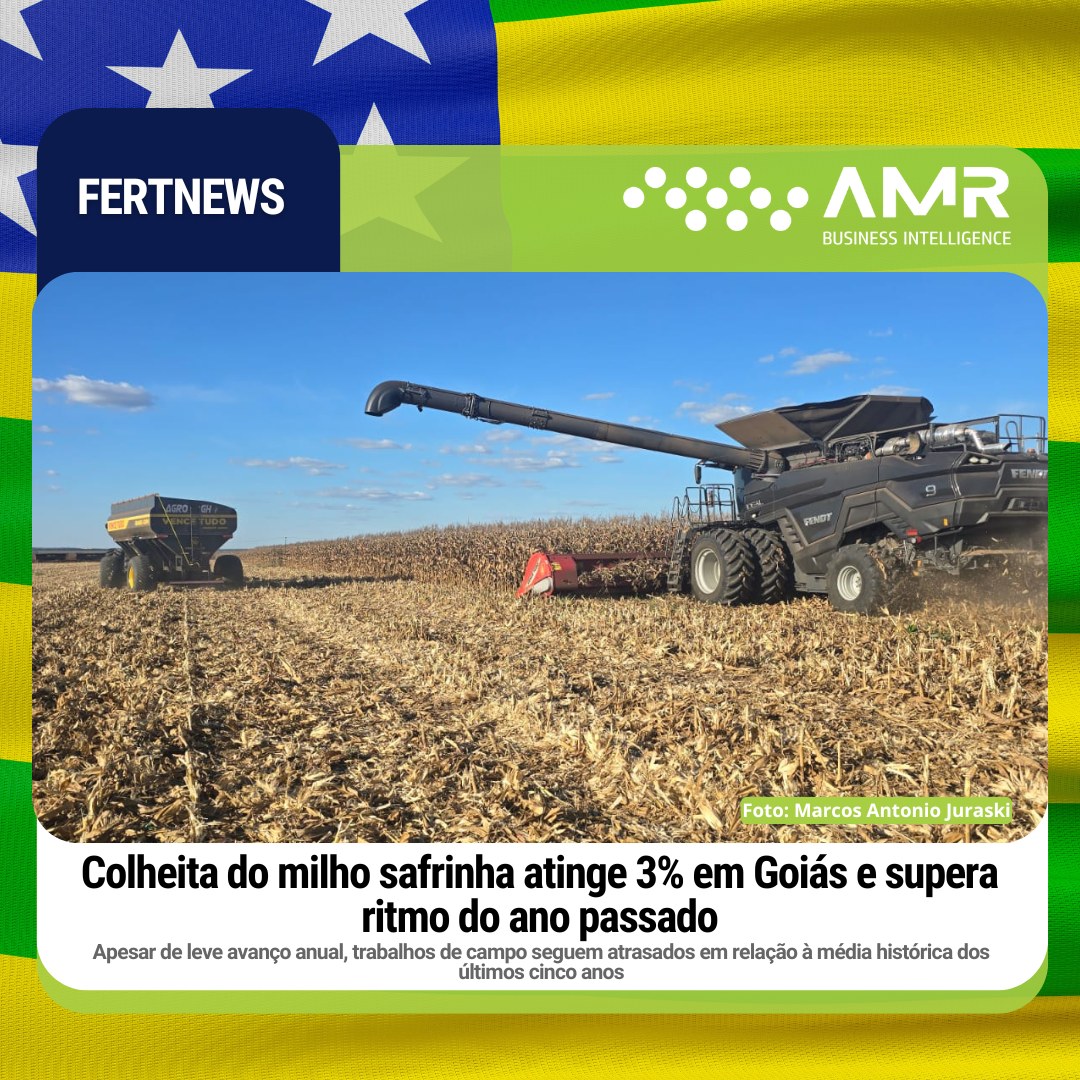 Capa da postagem Colheita do milho safrinha atinge 3% em Goiás e supera ritmo do ano passado