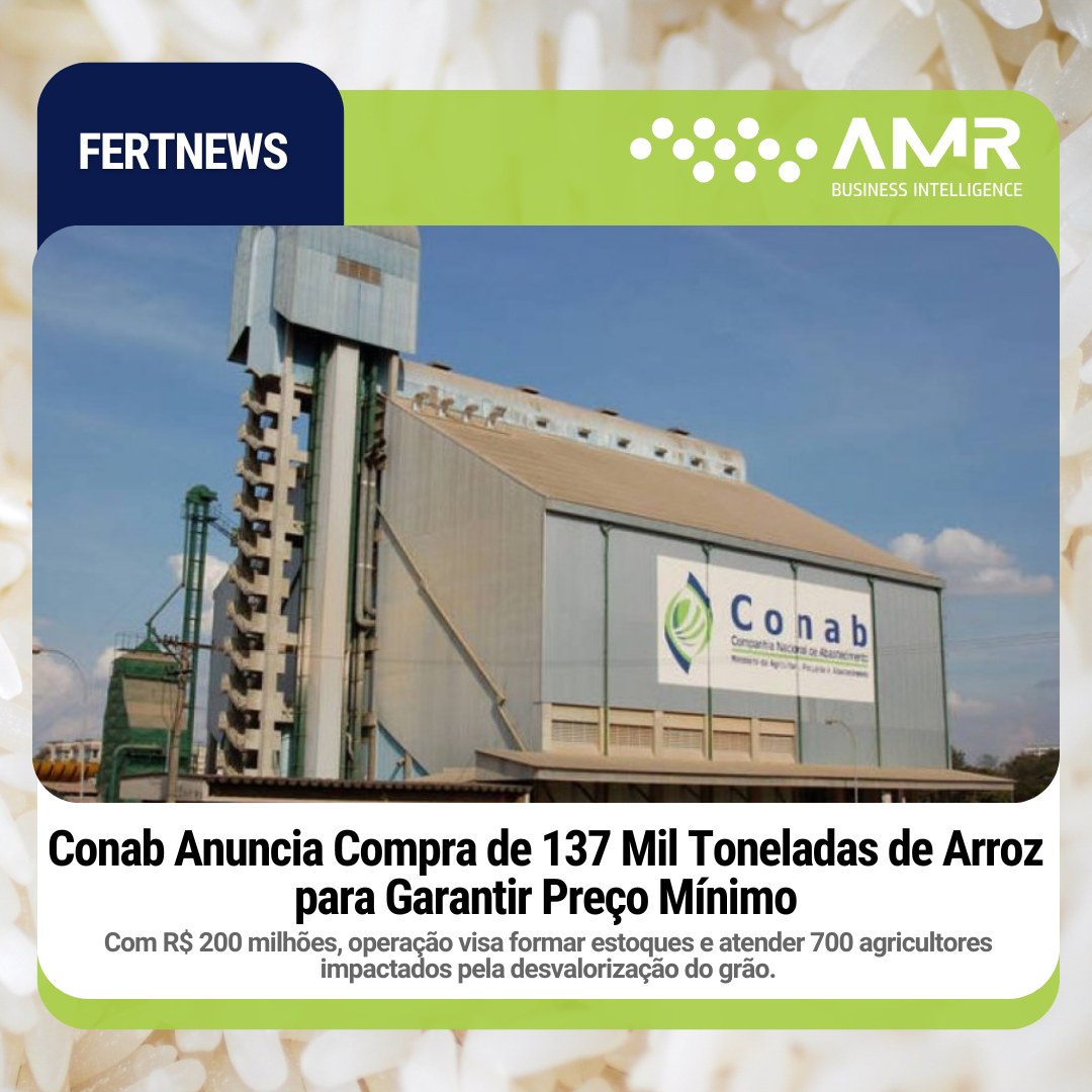 Capa da postagem Conab Anuncia Compra de 137 Mil Toneladas de Arroz para Garantir Preço Mínimo