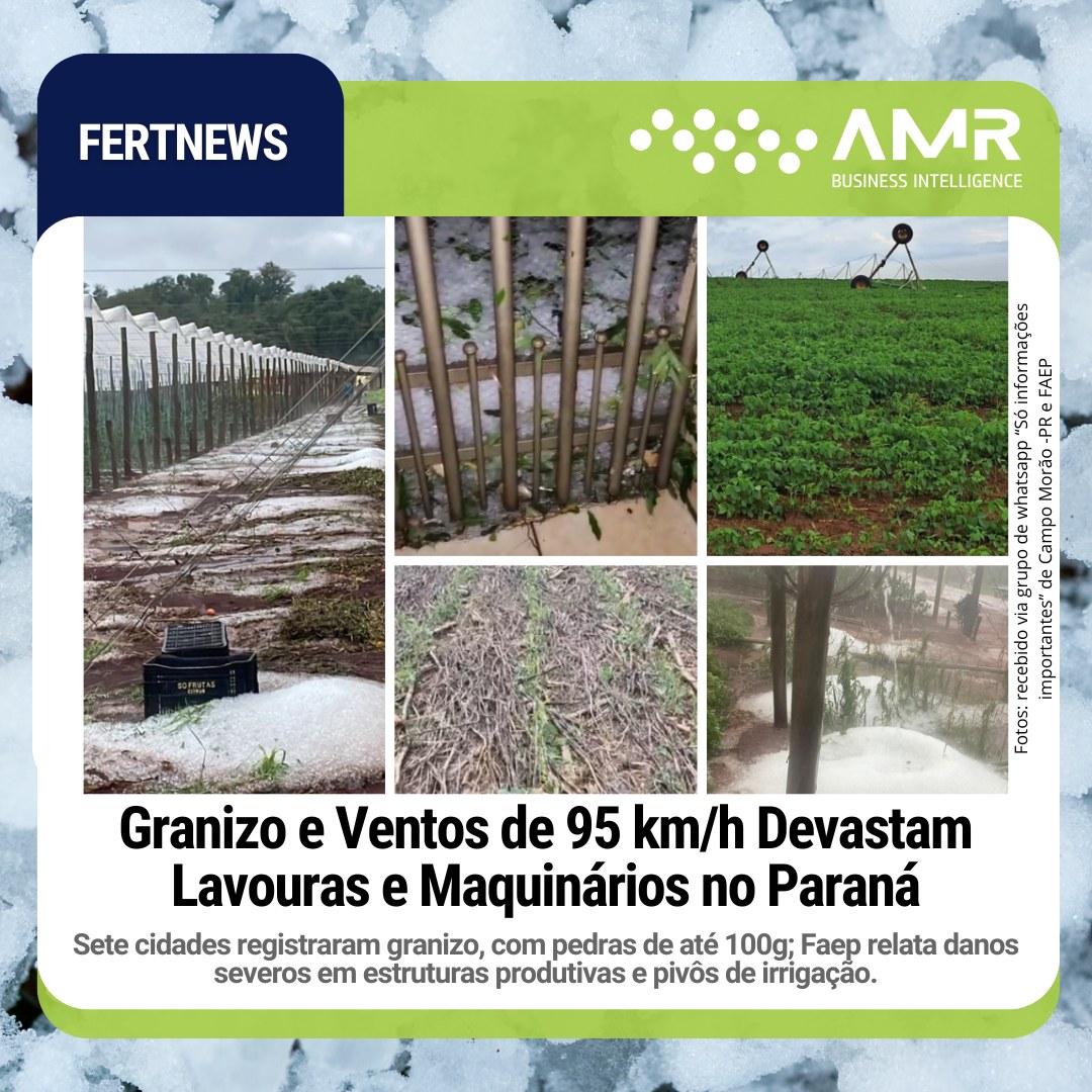 Capa da postagem Granizo e Ventos de 95 km/h Devastam Lavouras e Maquinários no Paraná