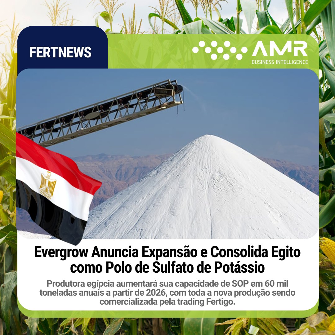 Capa da postagem Evergrow Anuncia Expansão e Consolida Egito como Polo de Sulfato de Potássio