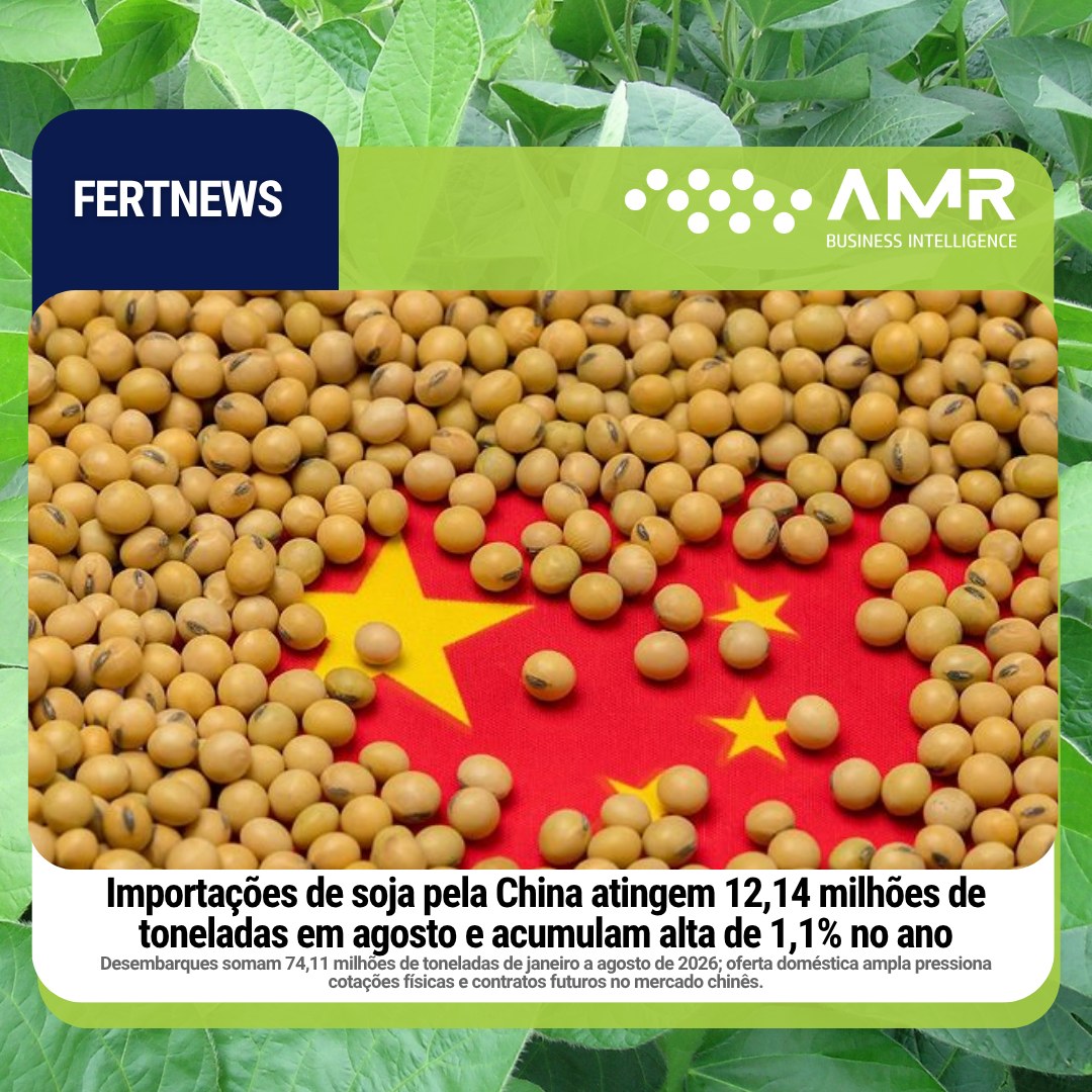 Capa da postagem Importações de soja pela China atingem 12,14 milhões de toneladas em agosto e acumulam alta de 1,1% no ano