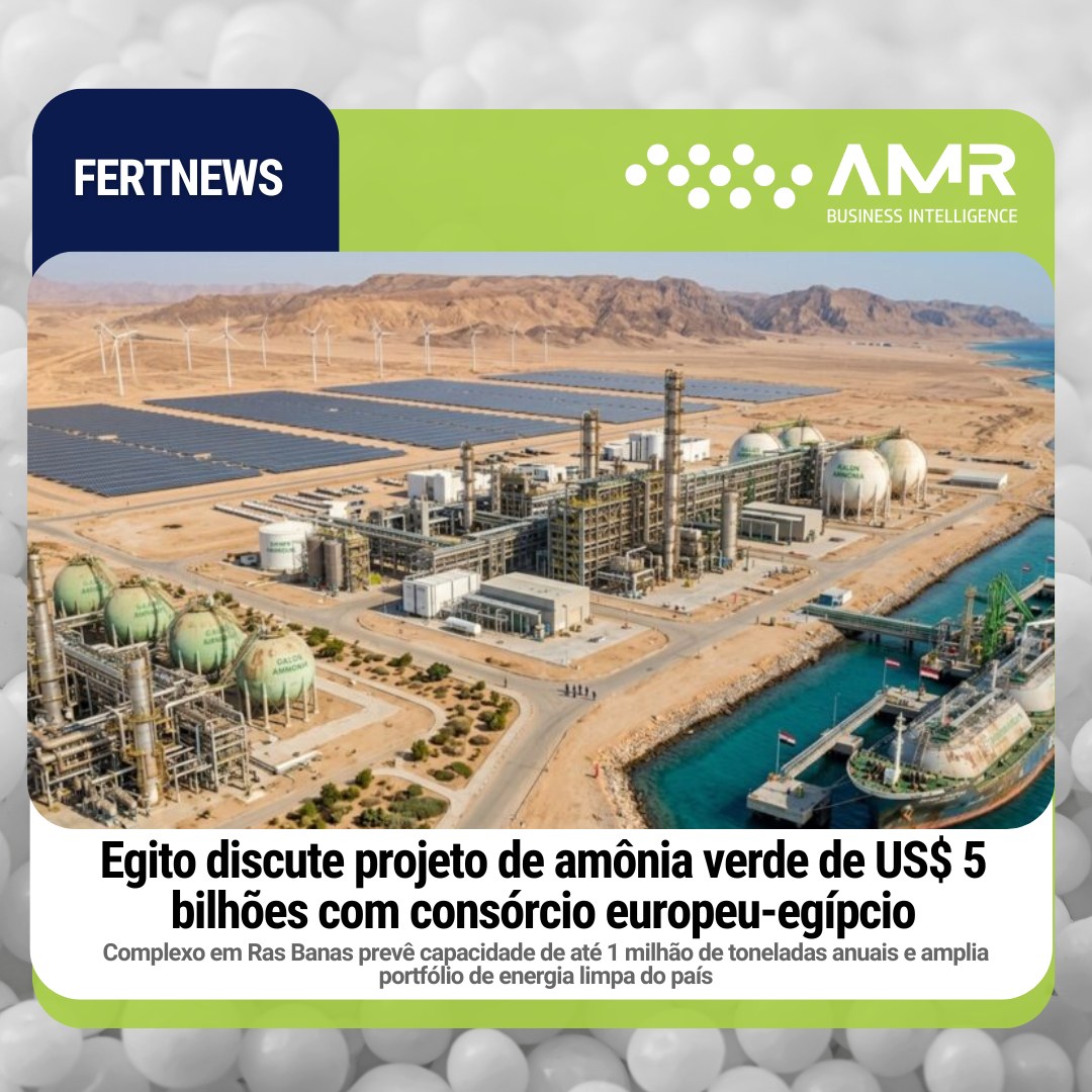 Capa da postagem Egito discute projeto de amônia verde de US$ 5 bilhões com consórcio europeu-egípcio