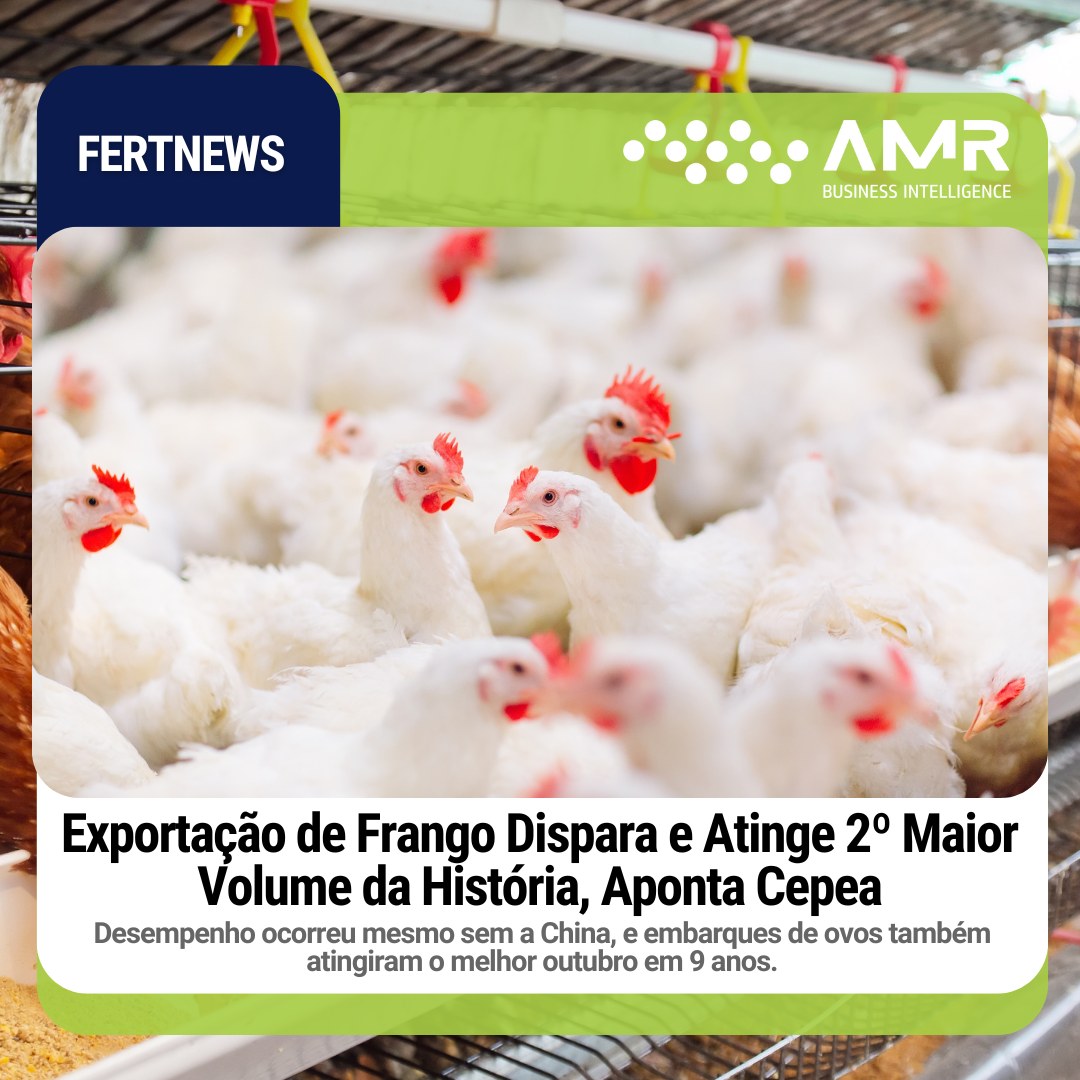 Capa da postagem Exportação de Frango Dispara e Atinge 2º Maior Volume da História, Aponta Cepea