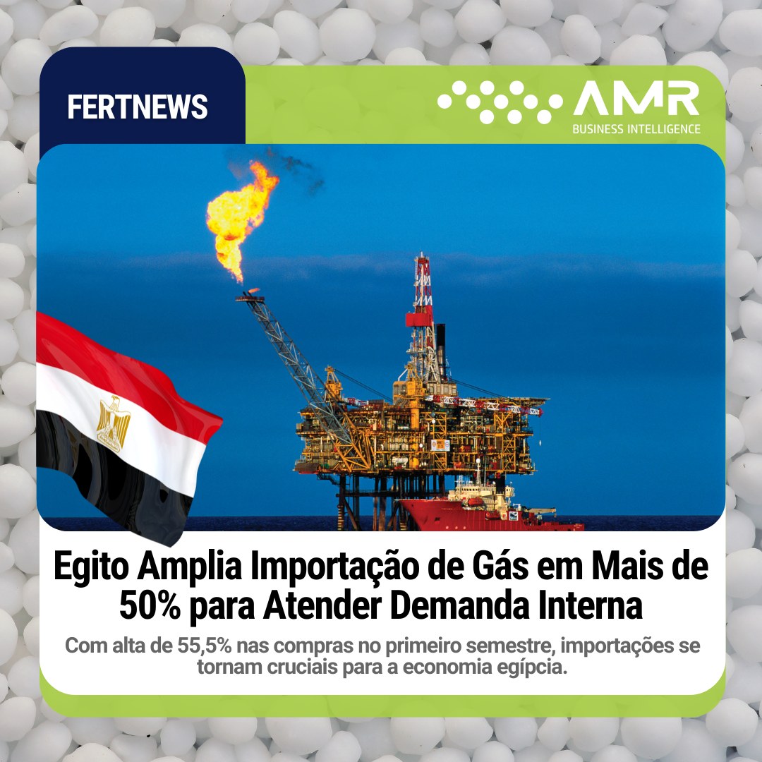 Capa da postagem Egito Amplia Importação de Gás em Mais de 50% para Atender Demanda Interna