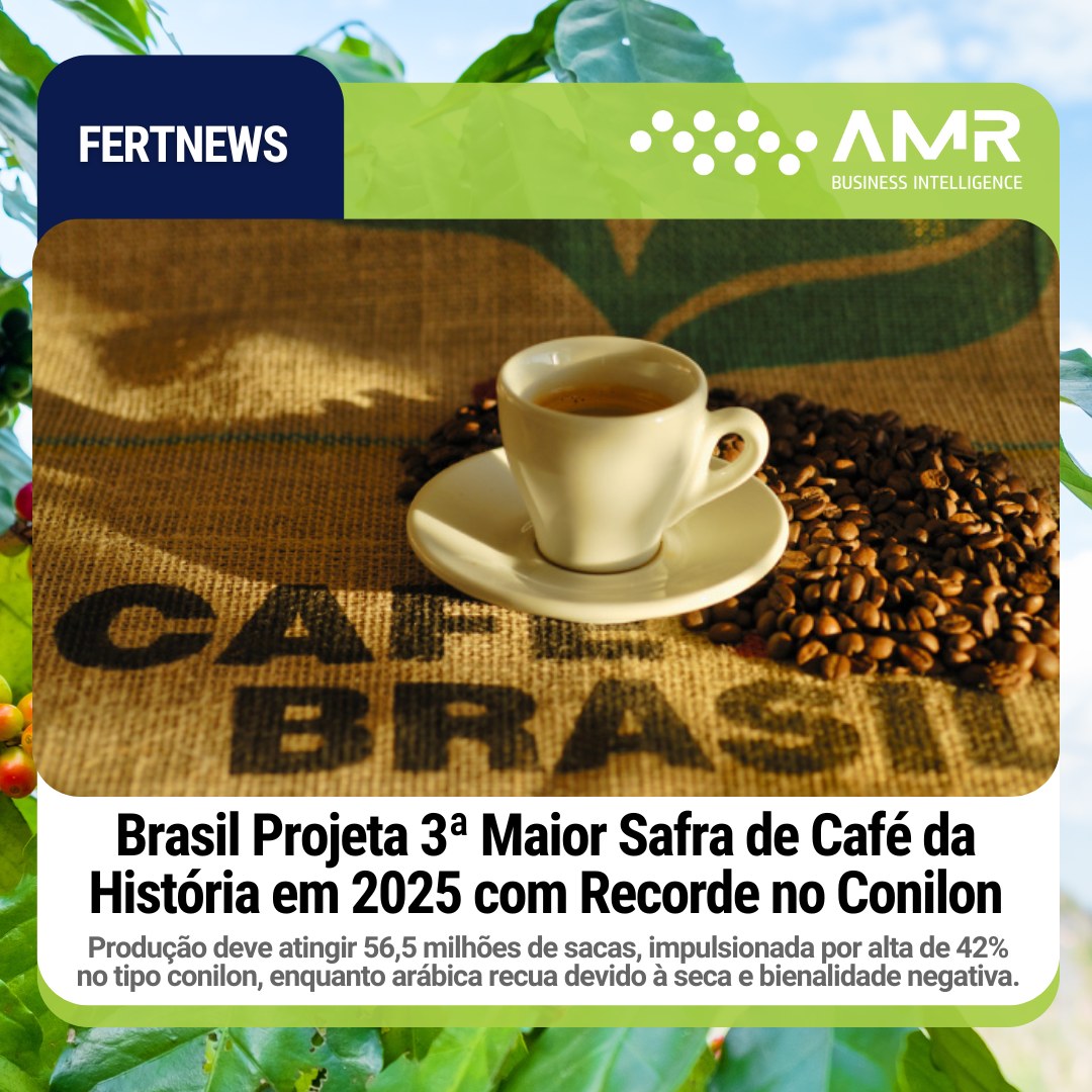 Capa da postagem Brasil Projeta 3ª Maior Safra de Café da História em 2025 com Recorde no Conilon