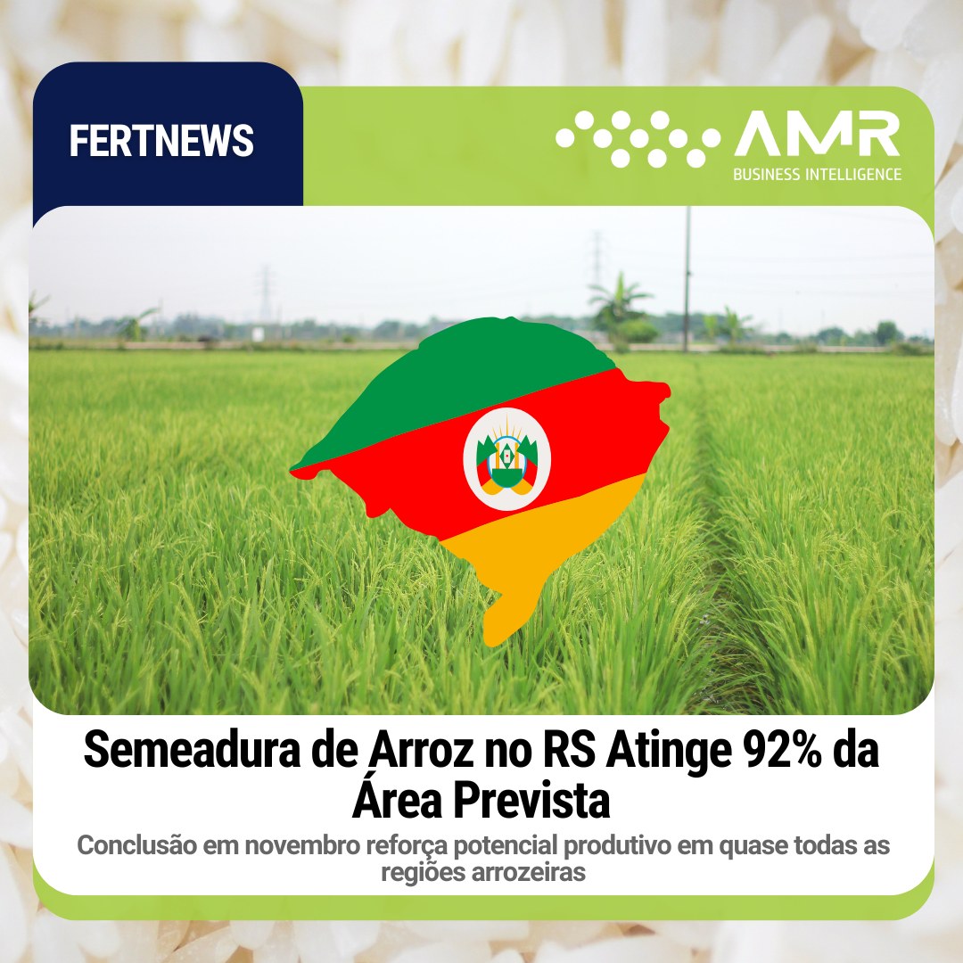 Capa da postagem Semeadura de Arroz no RS Atinge 92% da Área Prevista