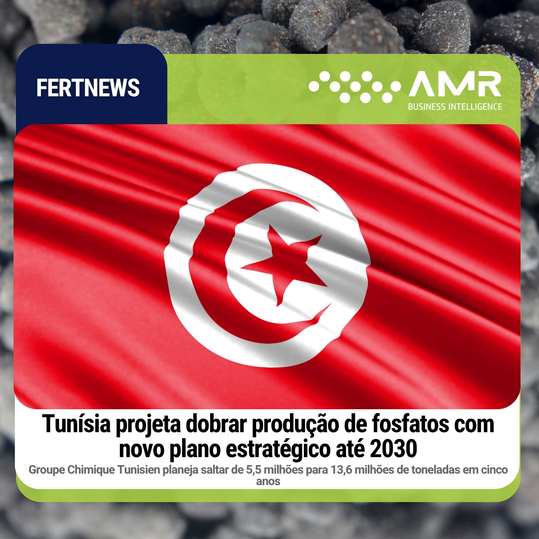 Capa da postagem Tunísia projeta dobrar produção de fosfatos com novo plano estratégico até 2030