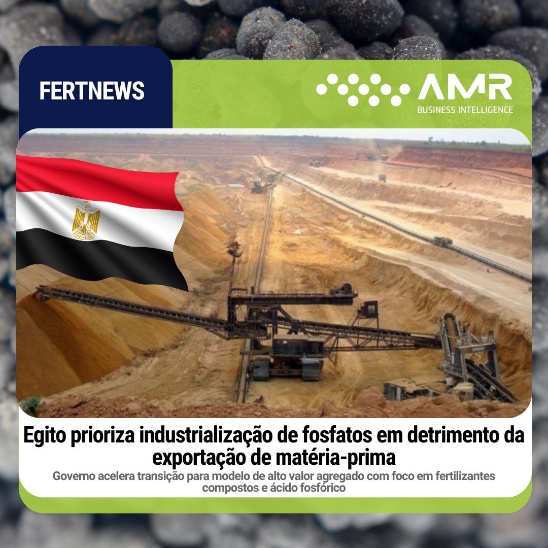 Capa da postagem Egito prioriza industrialização de fosfatos em detrimento da exportação de matéria-prima