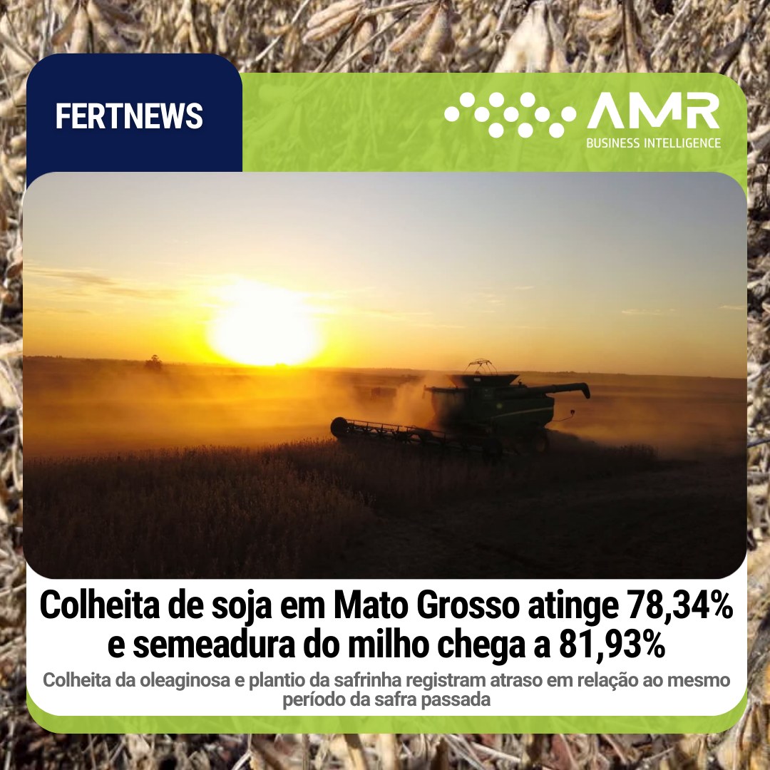 Capa da postagem Colheita de soja em Mato Grosso atinge 78,34% e semeadura do milho chega a 81,93%