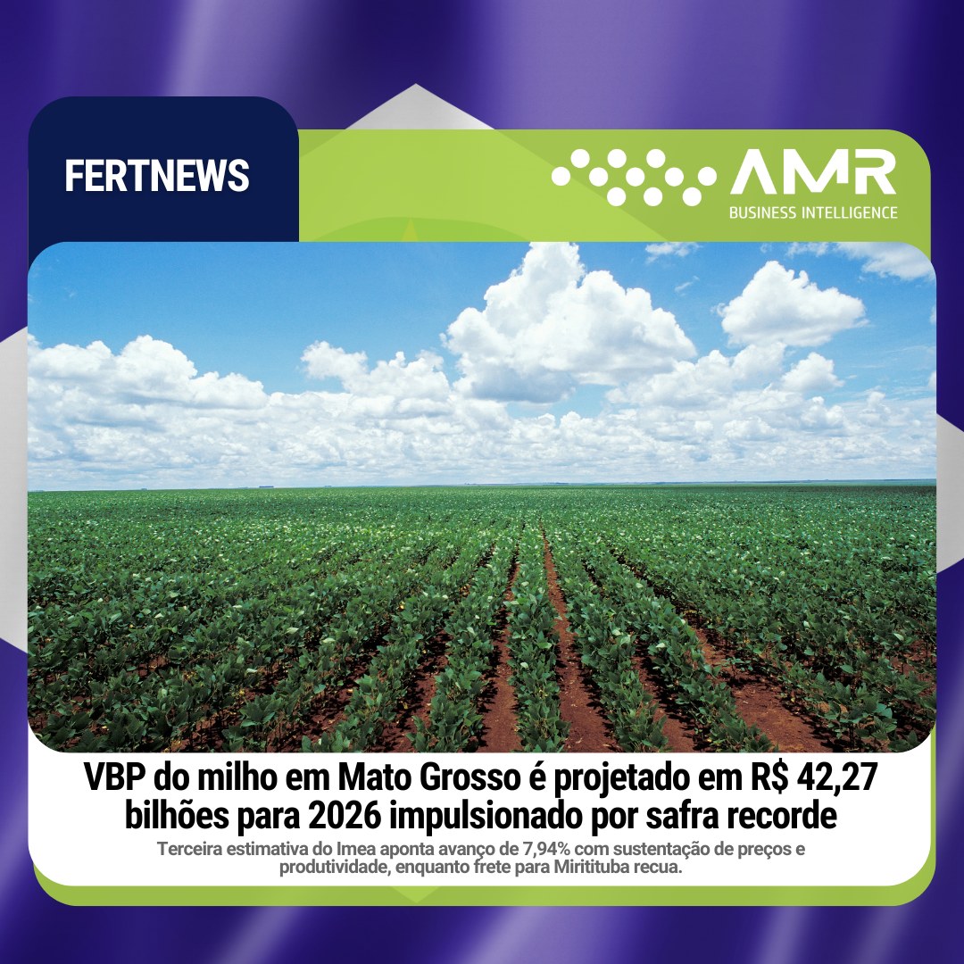 Capa da postagem VBP do milho em Mato Grosso é projetado em R$ 42,27 bilhões para 2026 impulsionado por safra recorde