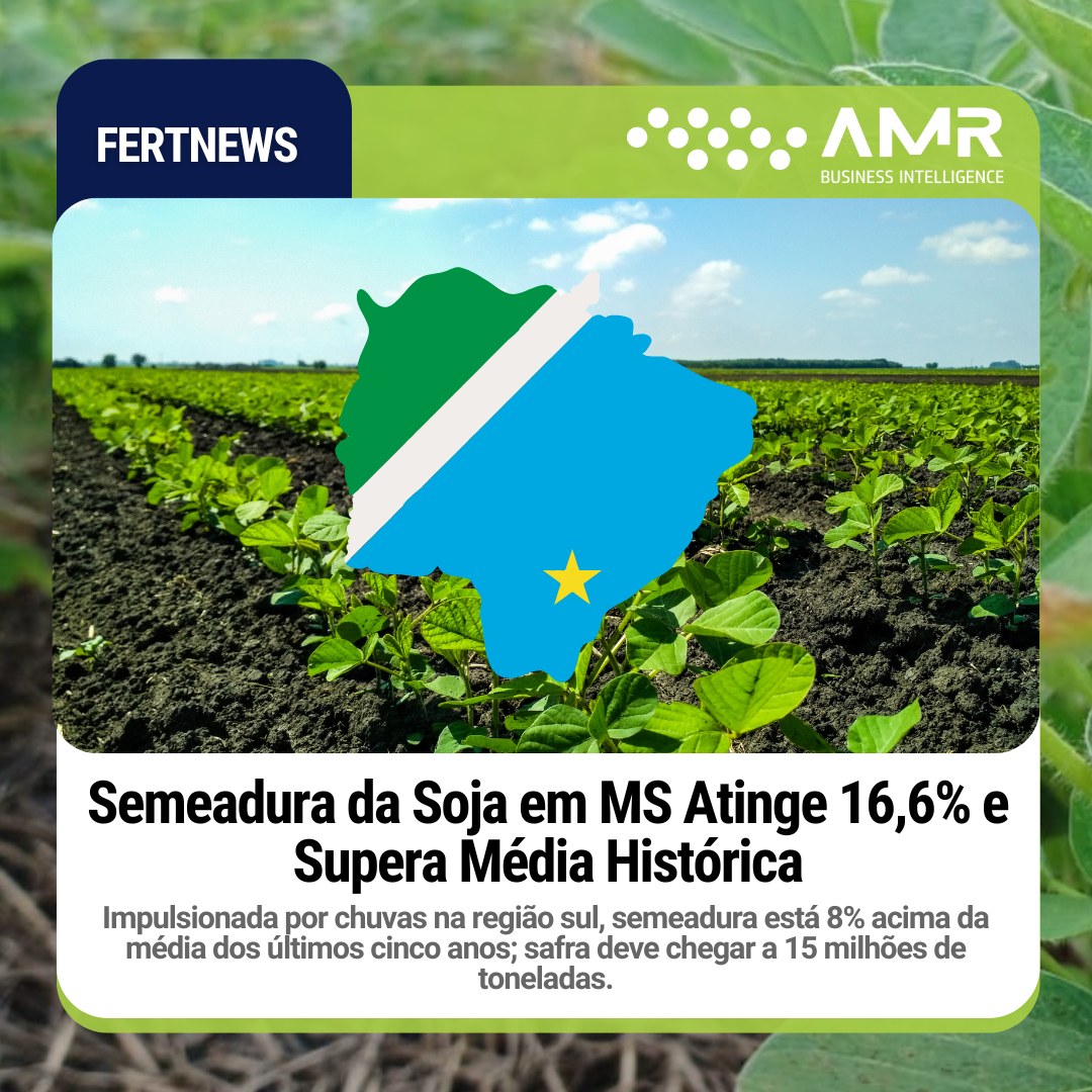 Capa da postagem Semeadura da Soja em MS Atinge 16,6% e Supera Média Histórica