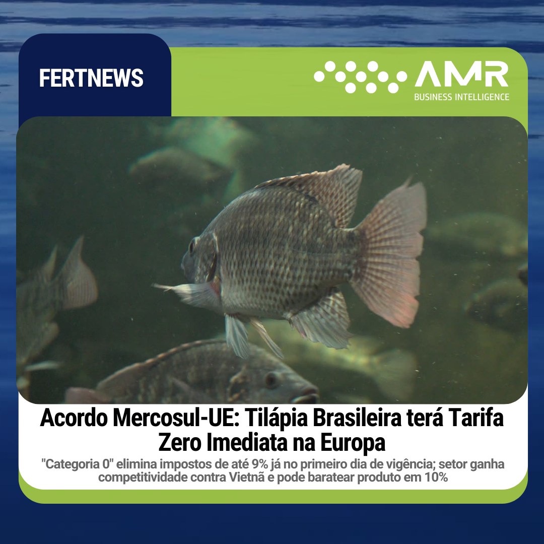 Capa da postagem Acordo Mercosul-UE: Tilápia Brasileira terá Tarifa Zero Imediata na Europa