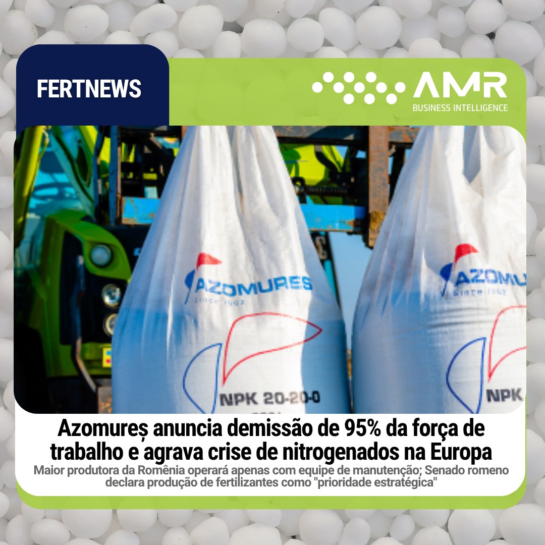 Capa da postagem Azomureș anuncia demissão de 95% da força de trabalho e agrava crise de nitrogenados na Europa