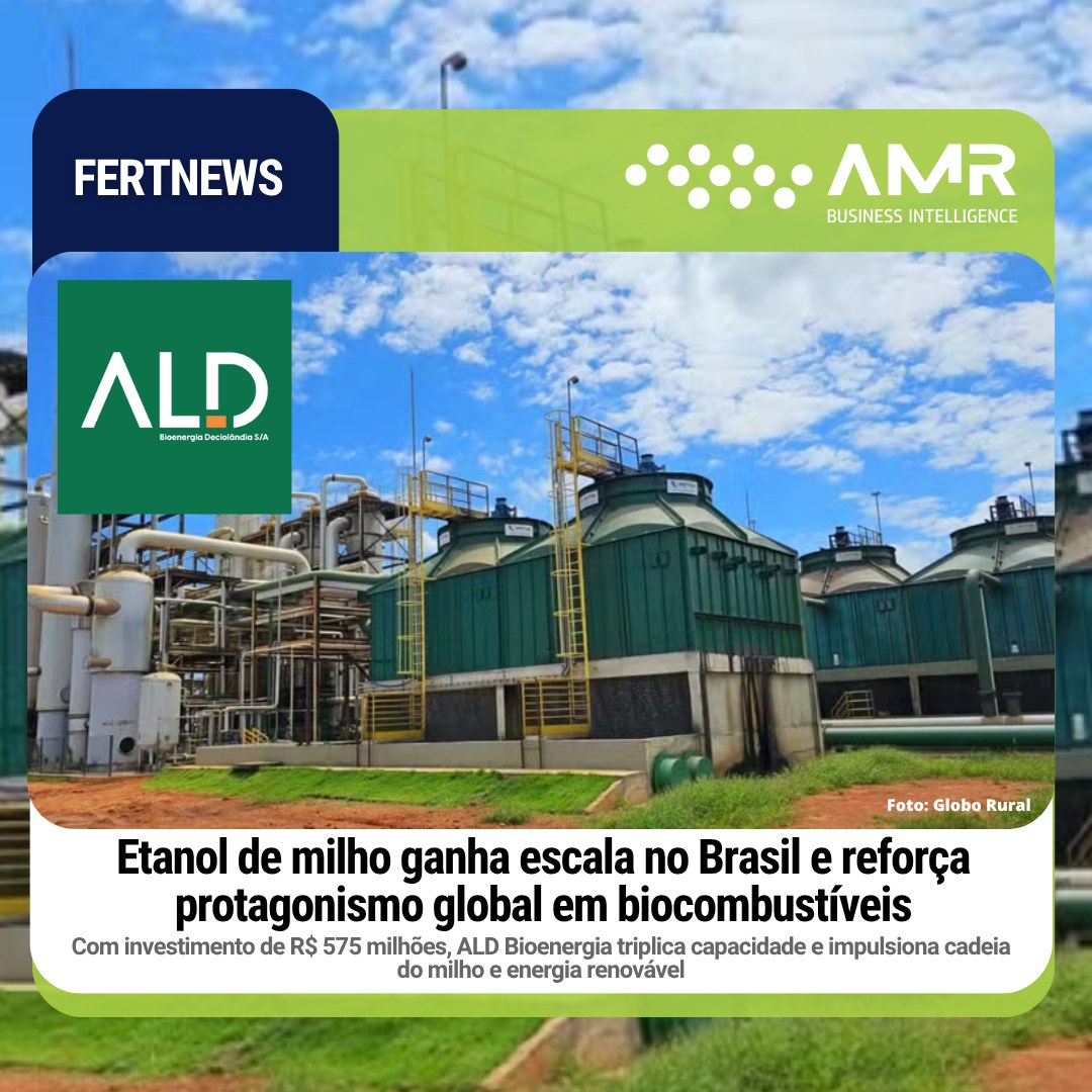 Capa da postagem Etanol de milho ganha escala no Brasil e reforça protagonismo global em biocombustíveis