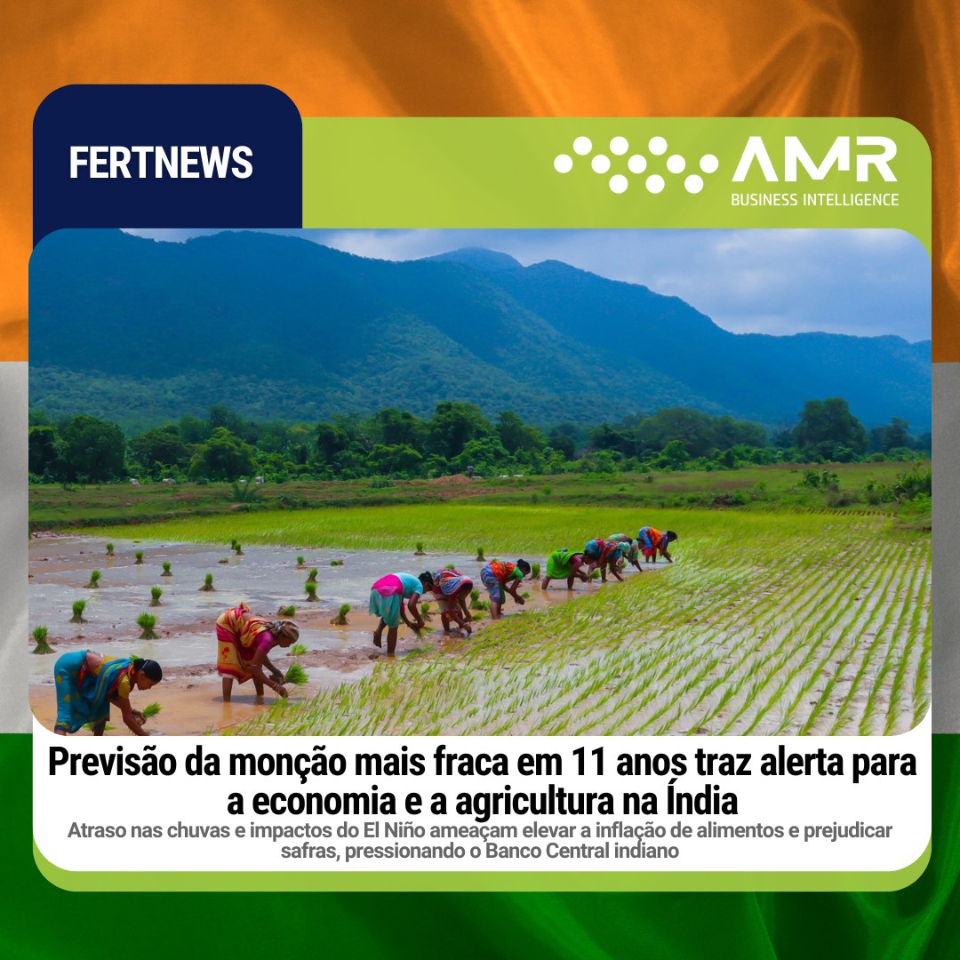 Capa da postagem Previsão da monção mais fraca em 11 anos traz alerta para a economia e a agricultura na Índia
