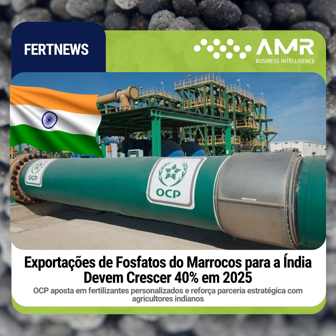 Capa da postagem Exportações de fosfatos do Marrocos para a Índia devem crescer 40% em 2025