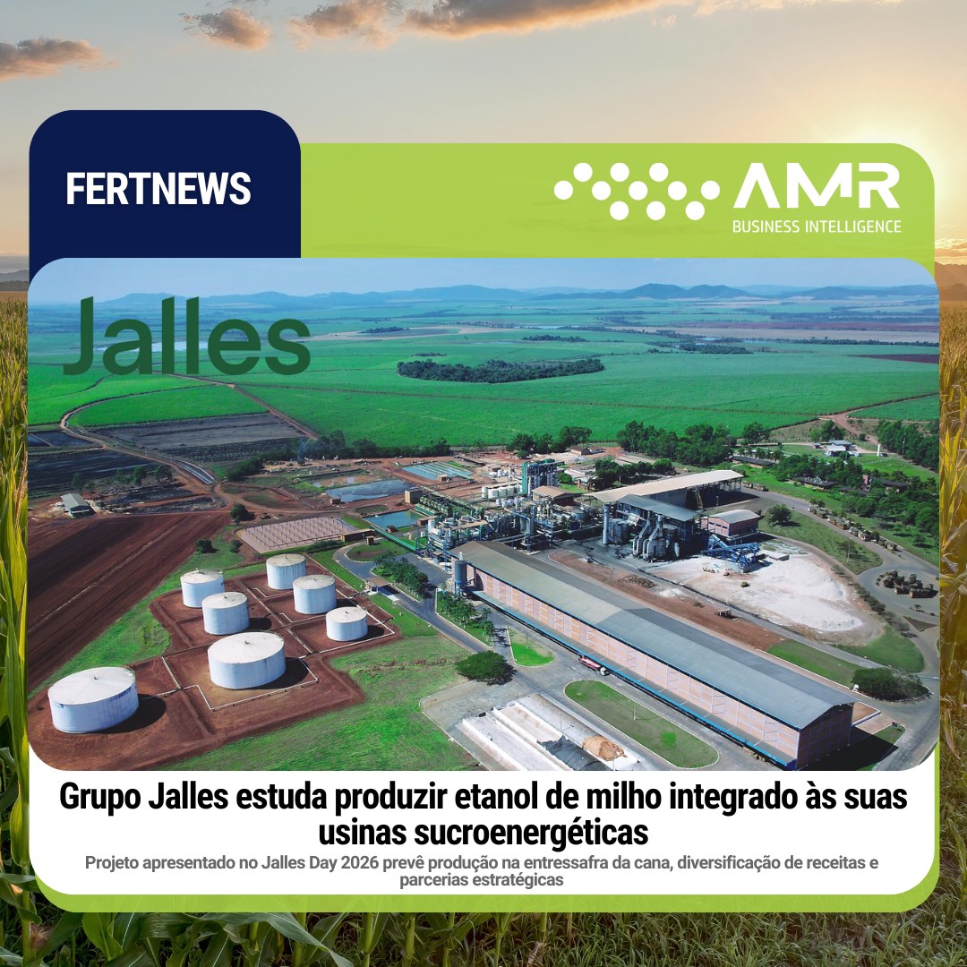 Capa da postagem Grupo Jalles estuda produzir etanol de milho integrado às suas usinas sucroenergéticas