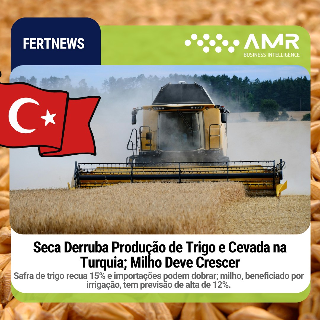 Capa da postagem Seca Derruba Produção de Trigo e Cevada na Turquia; Milho Deve Crescer