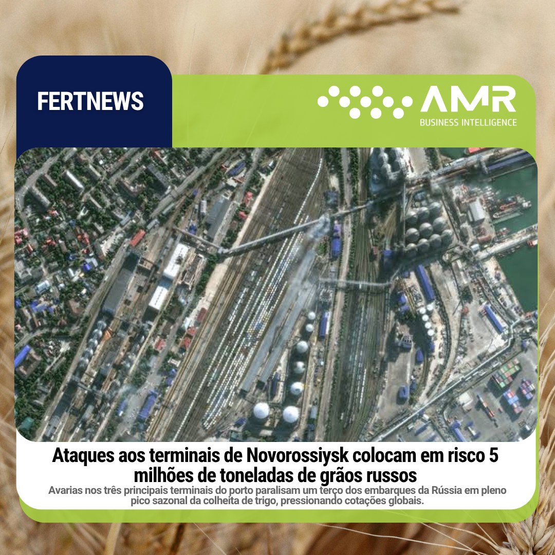 Capa da postagem Ataques aos terminais de Novorossiysk colocam em risco 5 milhões de toneladas de grãos russos
