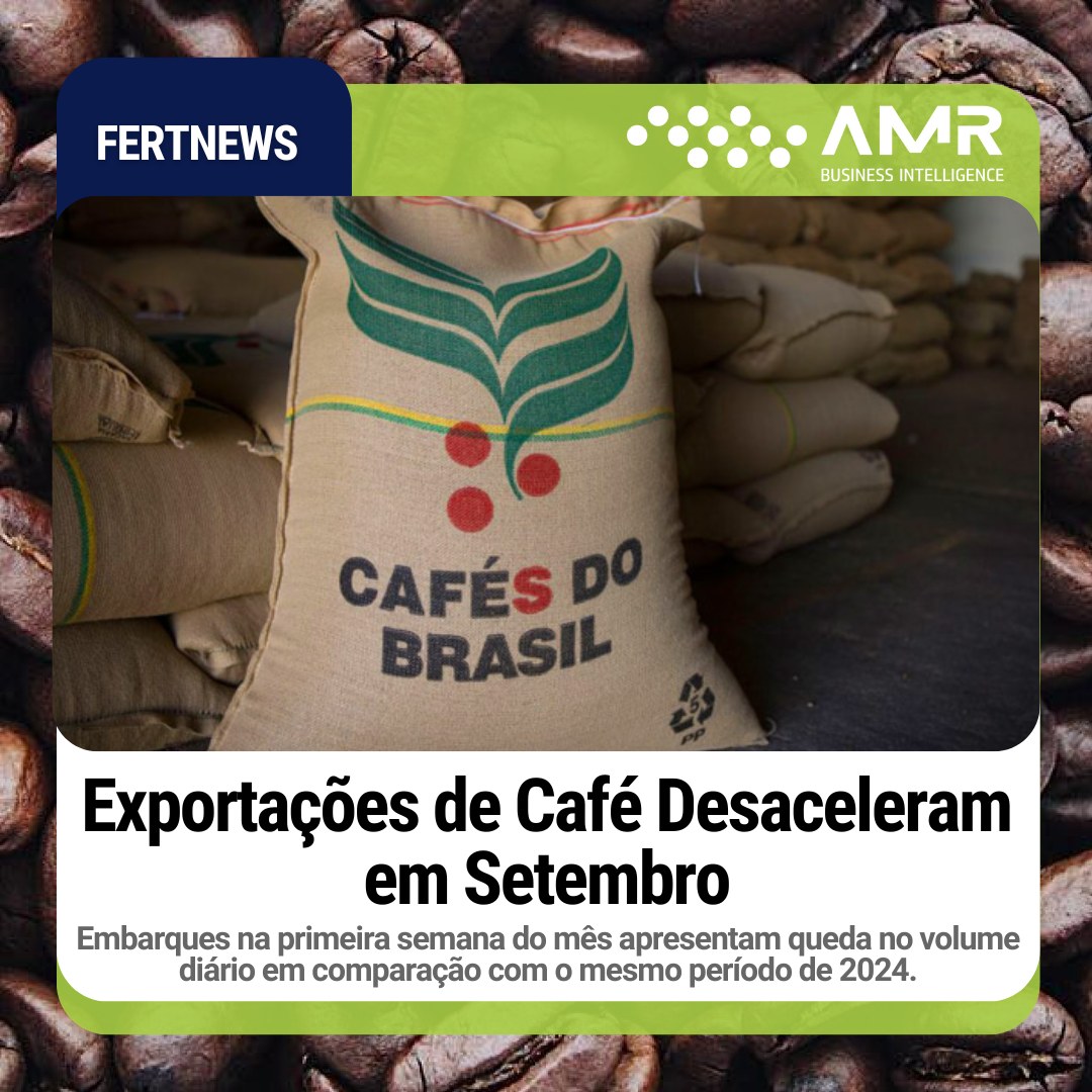 Capa da postagem Exportações de Café Desaceleram em Setembro