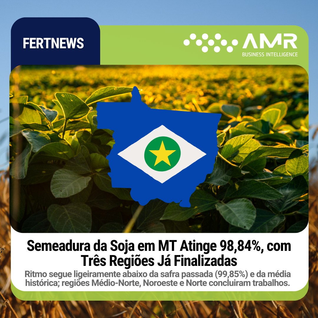 Capa da postagem Semeadura da Soja em MT Atinge 98,84%, com Três Regiões Já Finalizadas