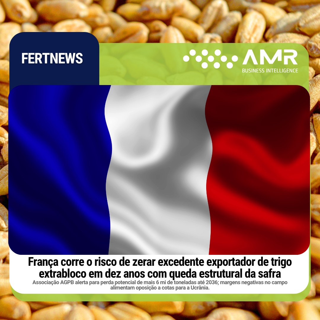 Capa da postagem França corre o risco de zerar excedente exportador de trigo extrabloco em dez anos com queda estrutural da safra