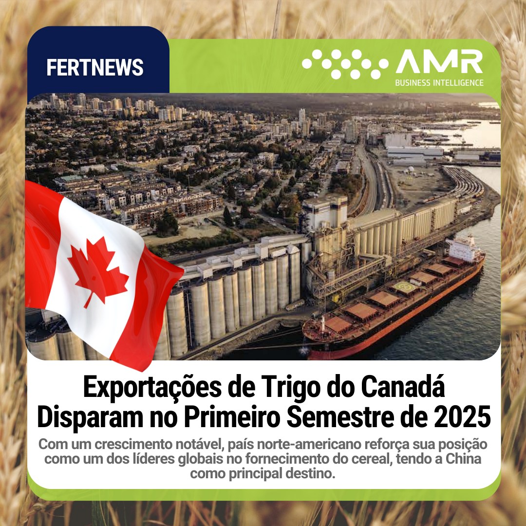 Capa da postagem Exportações de Trigo do Canadá Disparam no Primeiro Semestre de 2025