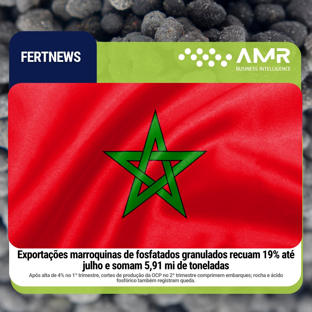 Capa da postagem Exportações marroquinas de fosfatados granulados recuam 19% até julho e somam 5,91 mi de toneladas