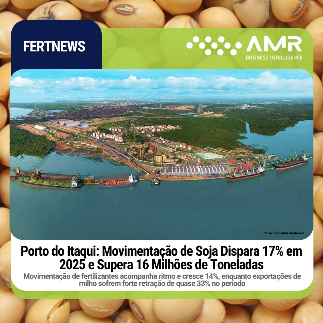 Capa da postagem Porto do Itaqui: Movimentação de Soja Dispara 17% em 2025 e Supera 16 Milhões de Toneladas