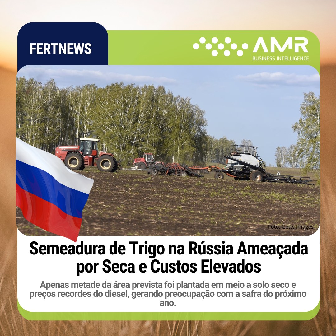 Capa da postagem Semeadura de Trigo na Rússia Ameaçada por Seca e Custos Elevados