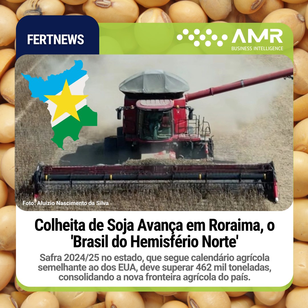 Capa da postagem Colheita de Soja Avança em Roraima, o 'Brasil do Hemisfério Norte'