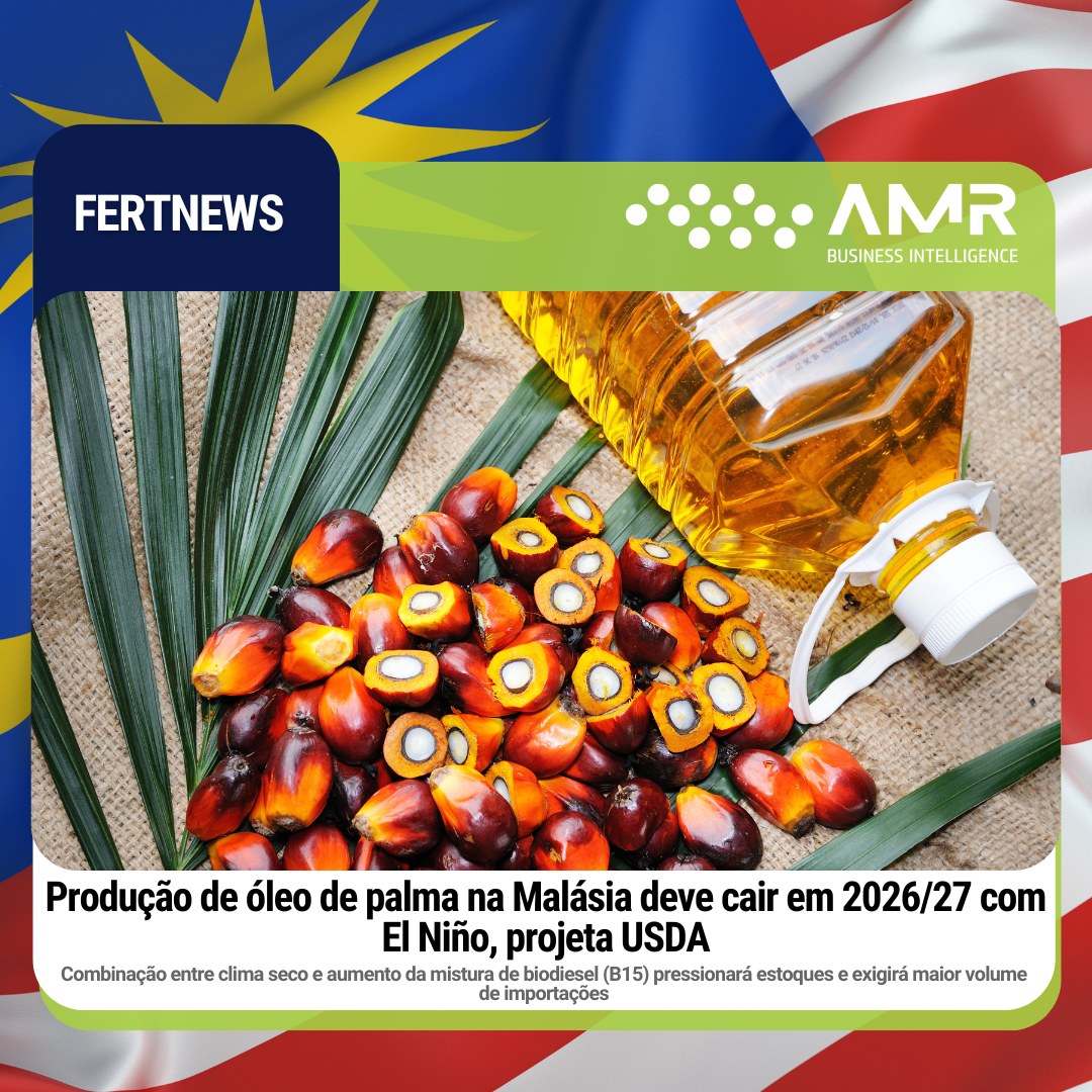 Capa da postagem Produção de óleo de palma na Malásia deve cair em 2026/27 com El Niño, projeta USDA