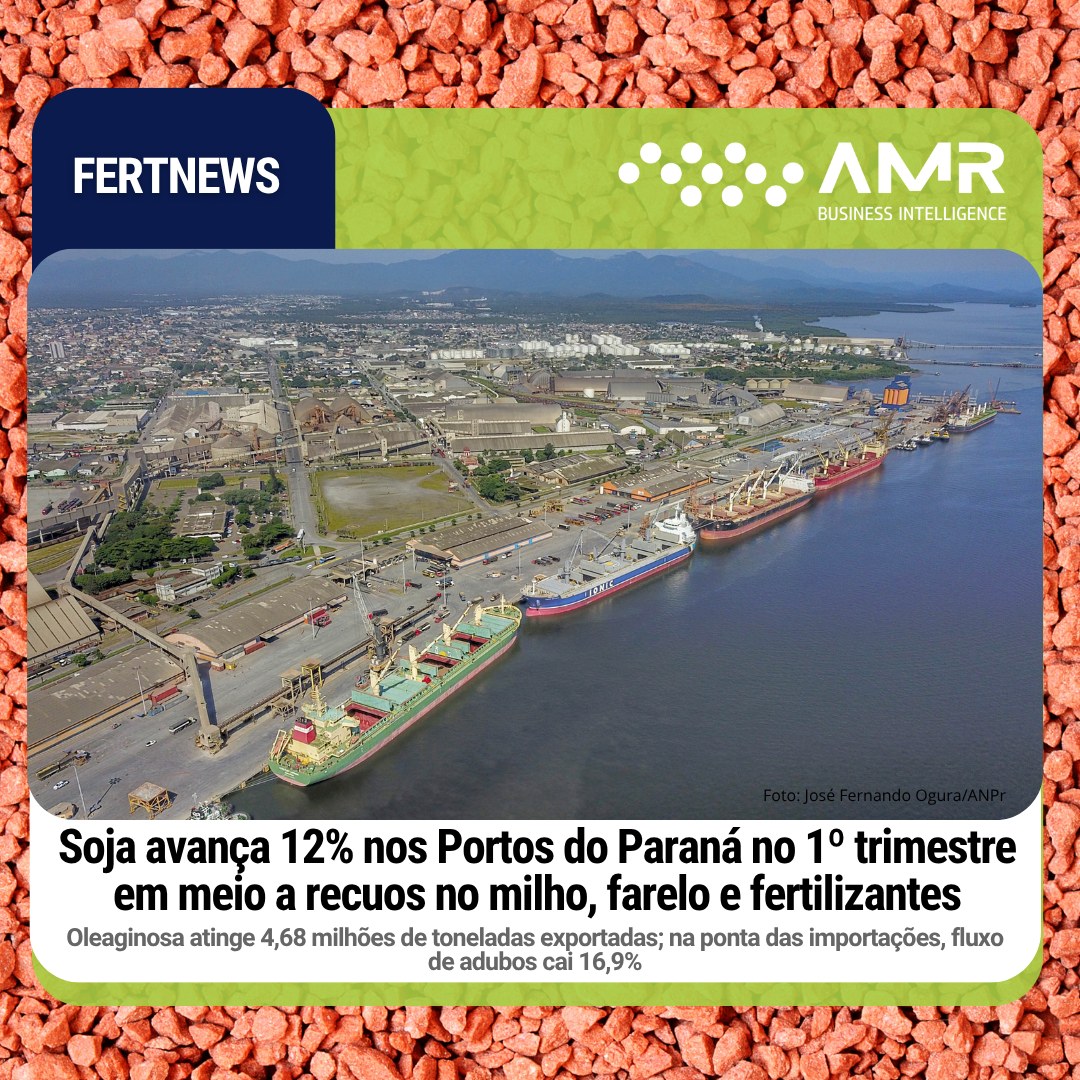 Capa da postagem Soja avança 12% nos Portos do Paraná no 1º trimestre em meio a recuos no milho, farelo e fertilizantes