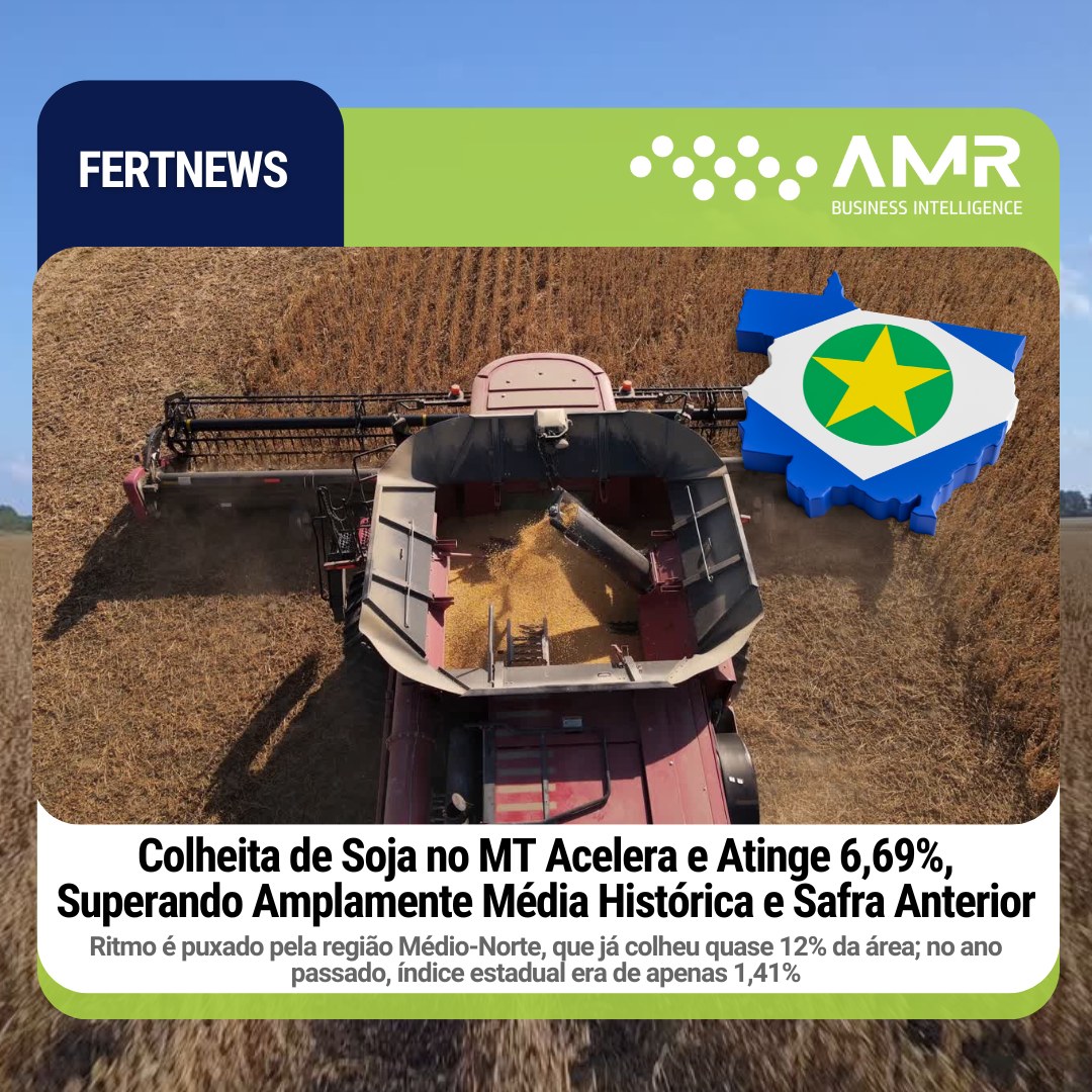 Capa da postagem Colheita de Soja no MT Acelera e Atinge 6,69%, Superando Amplamente Média Histórica e Safra Anterior