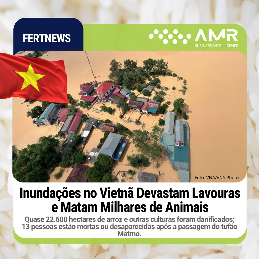 Capa da postagem Inundações no Vietnã Devastam Lavouras e Matam Milhares de Animais