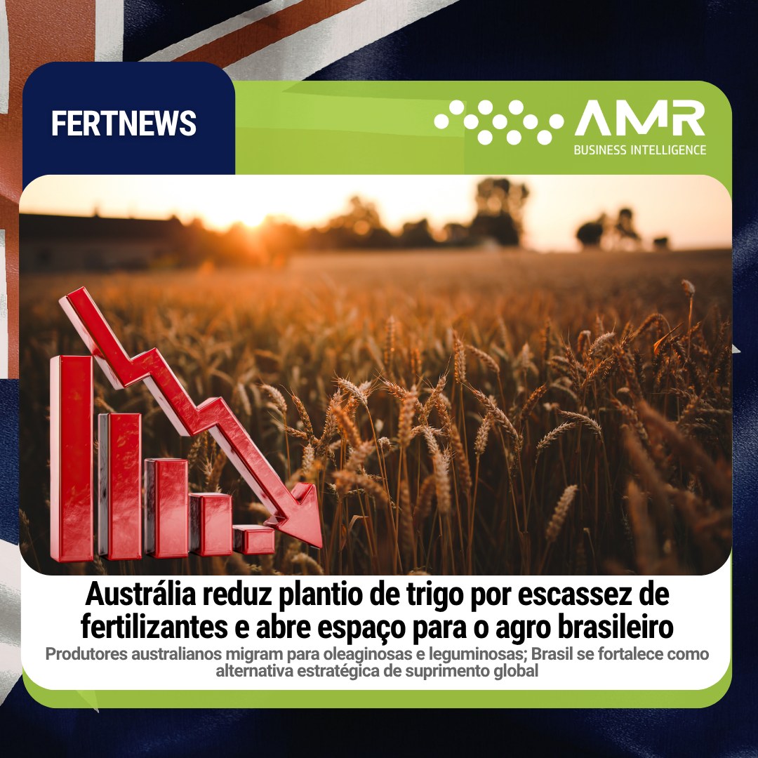 Capa da postagem Austrália reduz plantio de trigo por escassez de fertilizantes e abre espaço para o agro brasileiro