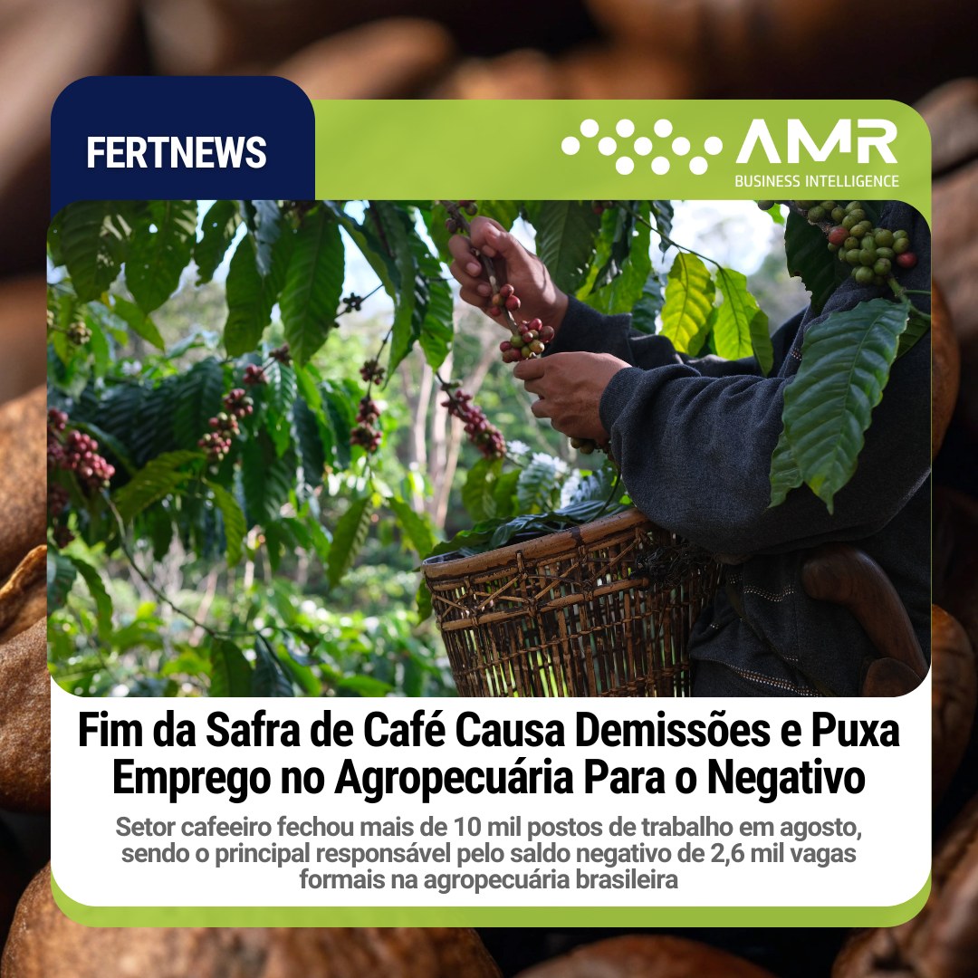 Capa da postagem Fim da Safra de Café Causa Demissões e Puxa Emprego no Agropecuária Para o Negativo