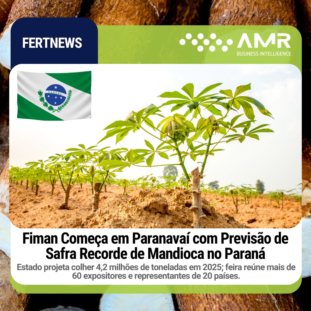 Capa da postagem Fiman Começa em Paranavaí com Previsão de Safra Recorde de Mandioca no Paraná